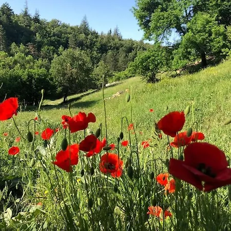 Logement Calme Avec Vue Sur Le Luberon Saignon Exterior photo