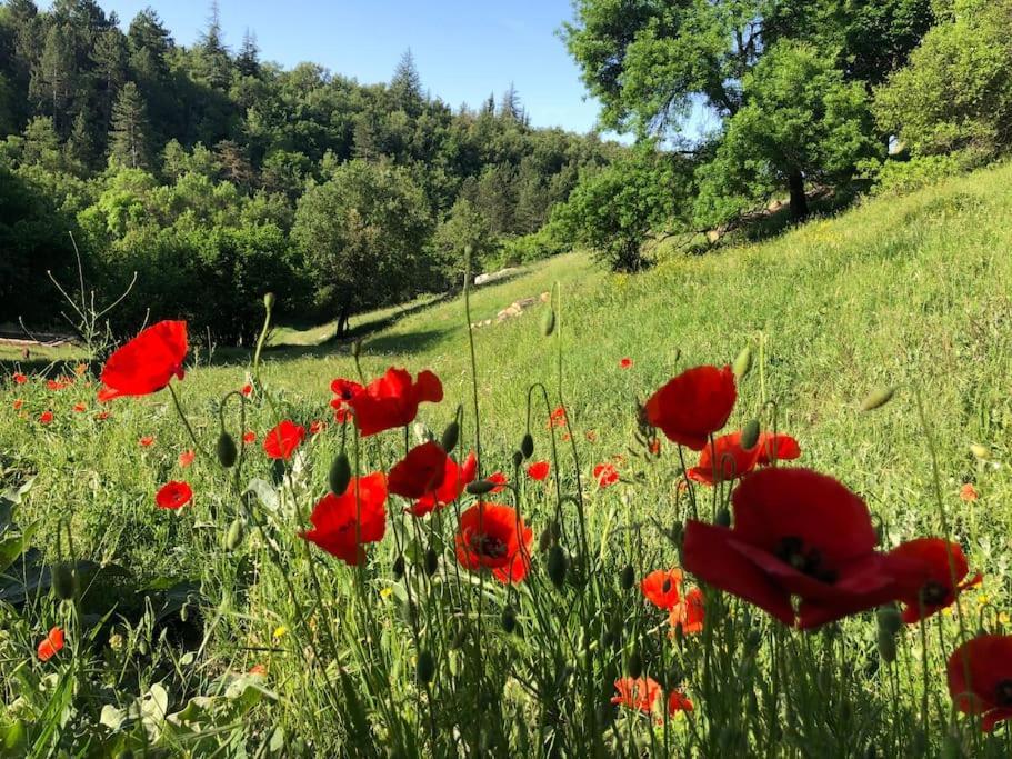 Calme Avec Vue Sur Le Luberon Apartment Saignon